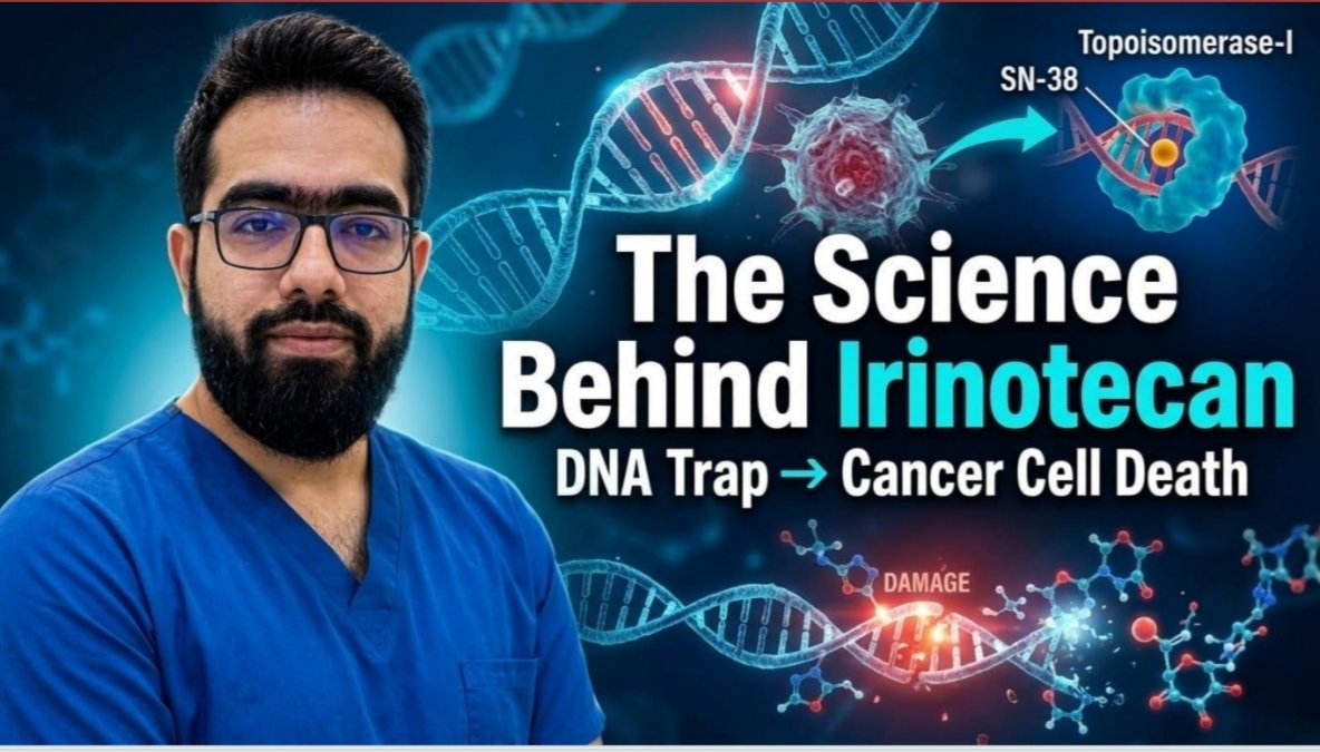 Irinotecan: From SN-38 to Cancer Cell Death — Easy Explanation